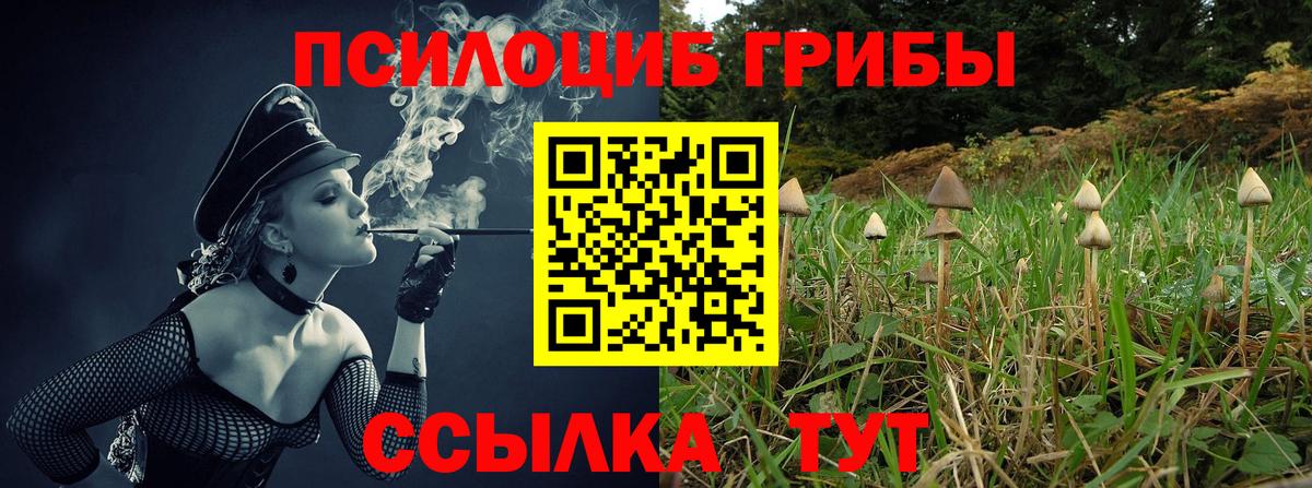 Галлюциногенные грибы Magic Shrooms Десногорск