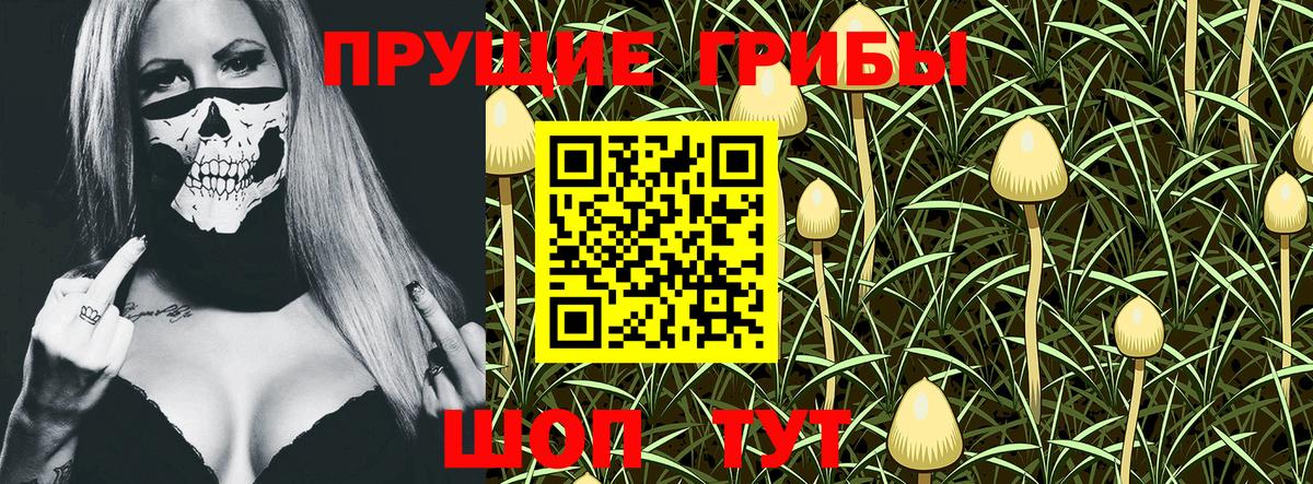 Галлюциногенные грибы MAGIC MUSHROOMS  Вход с VPN  Десногорск 